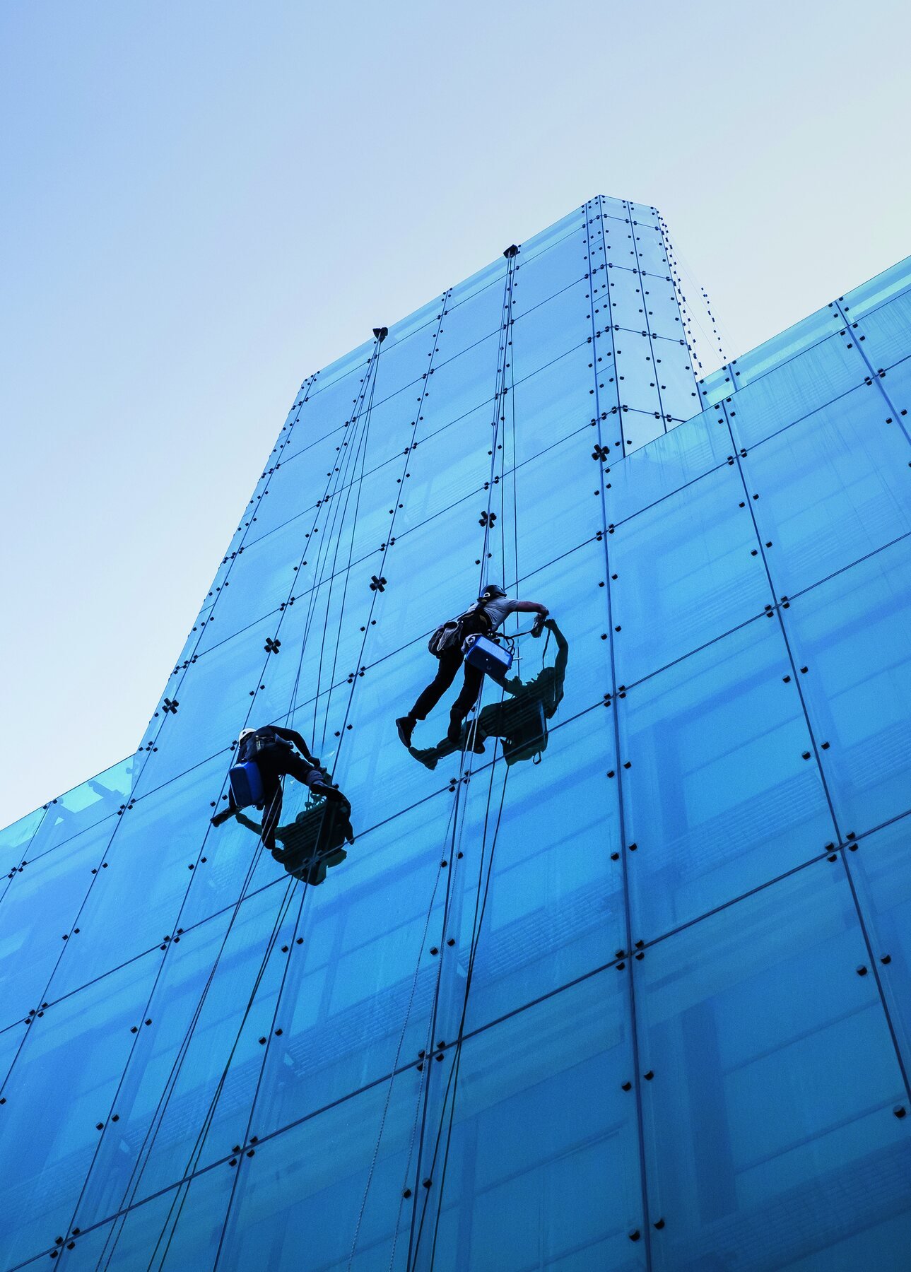 Two technicians on rope against a blue glass façade