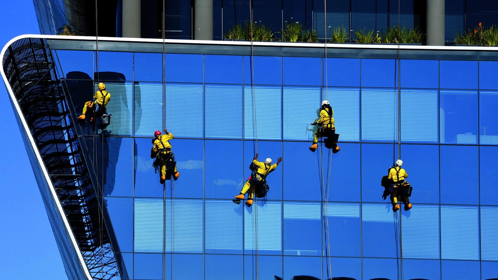Five Freshnest rope access technicians abseiling down a blue glass tower